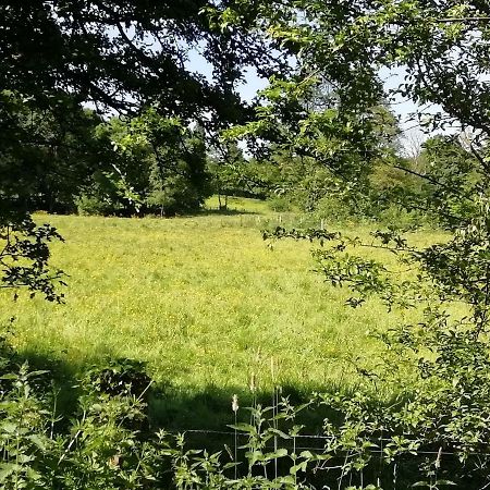 Gite Le Moulin Saint-Vaast-sur-Seulles Zewnętrze zdjęcie