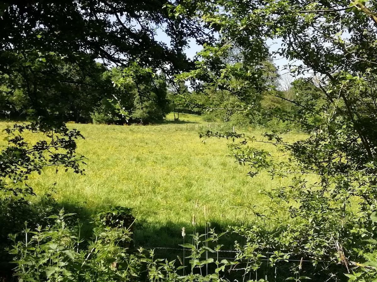 Gite Le Moulin Saint-Vaast-sur-Seulles Zewnętrze zdjęcie